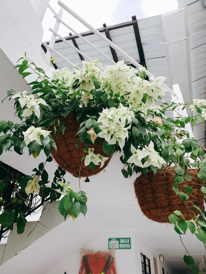 Comunidad Calle 13 Hotel Boutique サンタ・マルタ エクステリア 写真